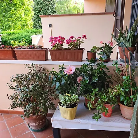 Villa Elsa, Cesena zona Ippodromo-2