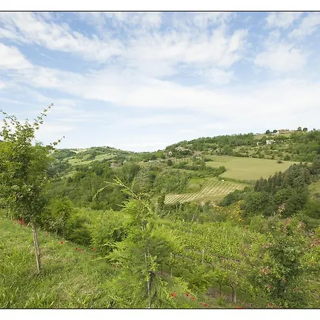 Bed & Breakfast Montesterlino-2